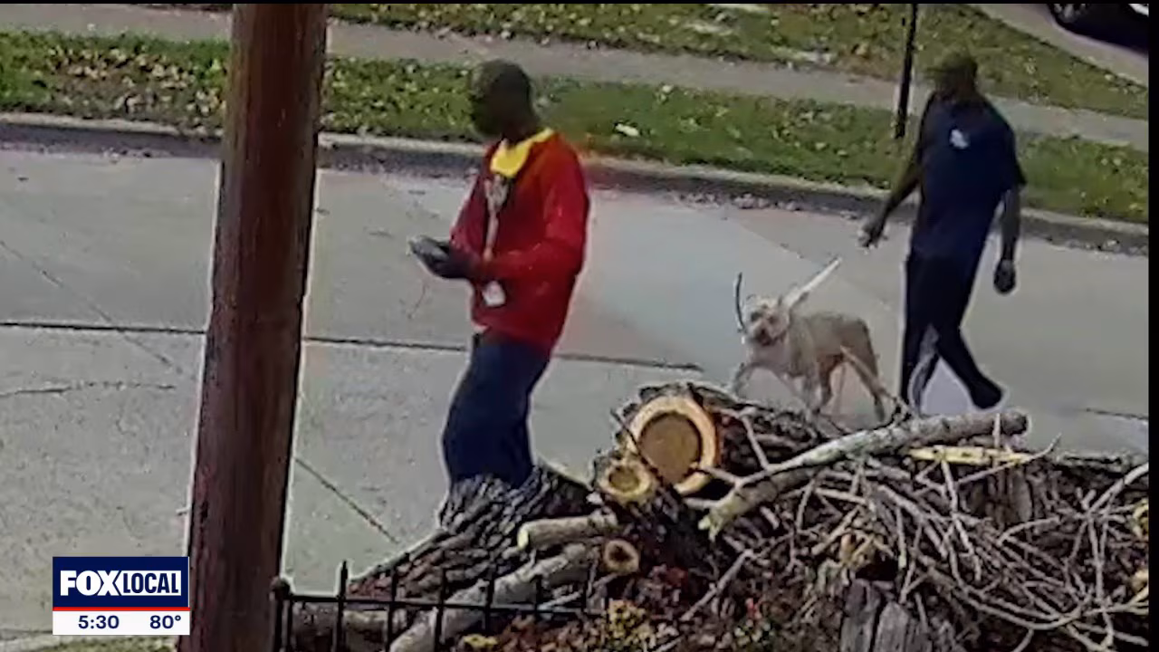 Trackdown: Police investigate dog attack death ruled murder