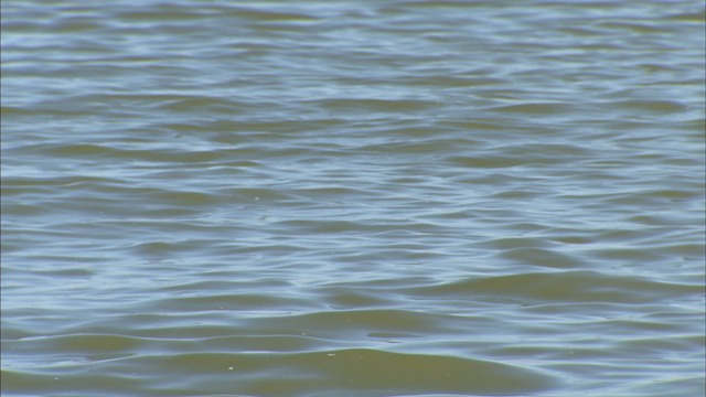 Search teams recover body of 62-year-old man from Benbrook Lake
