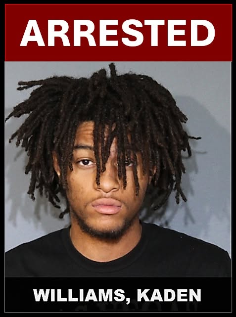 DeSoto police arrest 19-year-old following roadside struggle and discovery of modified handguns